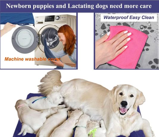 Pet Heating Pad for Large Dogs & Cats – 34″x21″ Waterproof Heated Bed with Chew-Resistant Cord, Adjustable Temperature & Removable Washable Cover