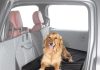 Ruff Liners Standard Dog Bed for Car Back Seat, Black – As Seen on Shark Tank – Fits Standard Seat Extender – Non-Slip Base, Waterproof, Machine-Washable – Dog Mat for Car with Rebound Foam Comfort Home |