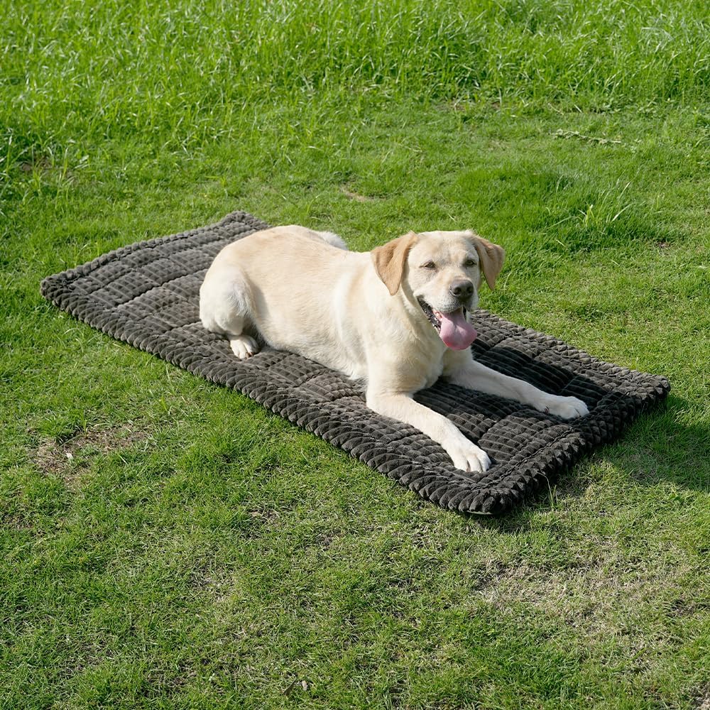 Dog Bed for Car, Backseat Pet Bed Mat, Fit for Backseat Extenders and Seat Covers (Black, 24.8 x 54) Dog Bed for Car, Backseat Pet Bed Mat, Fit for Backseat Extenders and Seat Covers (Black, 24.8 x 54)