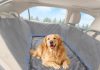 Dog Car Bed, Non-Slip Backseat Extender Pet Mat, Removable Washable Dog Bed for SUVs, Sedans & Trucks, Anti-Slip Travel Bed for Dogs, Easy Clean & Scratch-Proof & Comfort (56″x28.7″) Home |