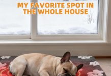 Heated Whelping Pad for Puppy, Dog Heating Pad with Upgraded Smart Thermostat Switch,Warm Crate Mat with Anti-bite Cord Outdoor Indoor,Constant on Function,UL&FCC Dual Certification,18*28in
